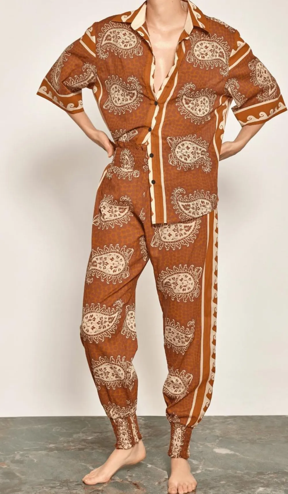 Hot Paisley Situation Shirt In Brown Tops